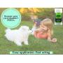 Natures Pure Edge Yard Odor Eliminator. Perfect for Artificial Grass, Patio, Kennel, and Lawn. Instantly Removes Stool and Urine Odor. Long Lasting. Kid and Pet Safe.