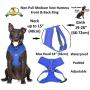 Dexil Elite Range Luxury Padded Waterproof Adjustable Back and Front Ring Non-Pull Pet Dog Vest Harness XSmall Small Medium Large