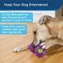 PetSafe Busy Buddy Ultra Woofer Treat Ring Dog Toy – Ultra Thick Treat Rings – Large