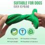 Ulalaza Cat Toothbrush Catnip Toy Kitten Teeth Cleaning Lobster Shape Chew Toy with Bell
