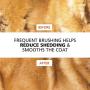 Self Cleaning pet cat Brush for Long Short haired Cats&Dogs,Grooming deshedding Brush for Small or Large Dogs&Cats, Removes Mats, Tangles, Loose Hair and Undercoat Treatment