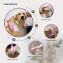 XUDIR Multipurpose Rubber Pet Hair Removal Brush, Dog & Cat Hair Remover Brush for Furniture, Car Interior and Carpet，with Free Storage Bag(Pink)