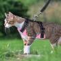 AVCCAVA Cat Harness and Leash for Walking, Escape Proof Soft Adjustable Vest Harnesses for Cats,Easy Control Breathable Reflective Strips Kittens Harness and Small Dog Harness