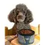 ALL FOR PAWS Collapsible Dog Bowl Dog Cat Pet Food Water Feeding Bowl Airline Approved Portable Pet Travel Accessories ALL FOR PAWS Collapsible Dog Bowl Dog Cat Pet Food Water Feeding Bowl Airline Approved Portable Pet Travel Accessories