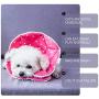 WZ PET Adjustable Dog Cat Cone,Soft Recovery Cat Cone Collar,Dog Protective Collar for Cats Surgery,Pink,Small,Medium