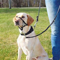 Royal Pet Club Top Trainer Training Harness