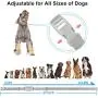 Dog Training Collar, Dog Shock Collar, Remote up to 984ft, Waterproof, Rechargeable Electric, Training Collar for Small/Medium/Large Dogs, 3 Training Modes, beep, Vibration and Safe Shock Dog Training Collar, Dog Shock Collar, Remote up to 984ft, Waterproof, Rechargeable Electric, Training Collar for Small/Medium/Large Dogs, 3 Training Modes, beep, Vibration and Safe Shock