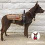 OneTigris Service Dog Harness,Tactical Dog Vest- Removable Neck Strap Compatible with Assistance Harness & Handle