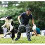 DISCDOG 3-Star Toughness Dog Flying Disc Dog Play Toy for Training(9-1/4 Inch)