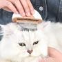 Noband L.W LW cat Comb cat Brush，Dog Brush，Shedding Tool，Deshedding Brush & Massage Comb 2 in 1，Effectively Remove 95% Mats Tangles Fur & Dirt, for Short Long Haired Puppy & Cats