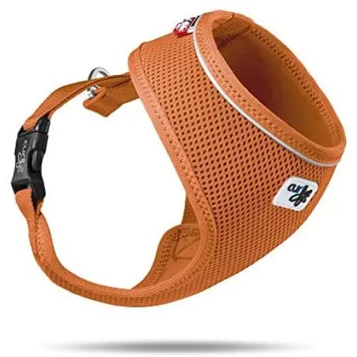 Curli Basic Air Mesh Harness Curli Basic Air Mesh Harness
