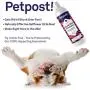 Petpost | Skunk Odor Shampoo for Dogs - Naturally Effective Deodorant Shampoo and Bad Smell Killer - Skunk Shampoo for Dogs or Cats Petpost | Skunk Odor Shampoo for Dogs - Naturally Effective Deodorant Shampoo and Bad Smell Killer - Skunk Shampoo for Dogs or Cats