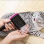 Mile High Life Self-Cleaning Slicker Grooming Dogs Cats Brush | Under Coat Rake for Loose Fur | Long Short Haired Pet | Blue Pink Color | Comfy Message Head Relaxation | Push Button for Easy Clean