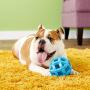 JW Pet Hol-ee Roller X Dog Chew Toy for Aggressive Chewers