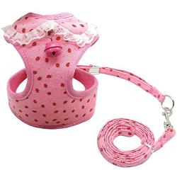 Didog Adjustable Pet Mesh Vest Harness and Leash Set with Cute Bell for Puppy Small Medium Dogs and Cats