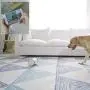 SKYMEE Owl Robot: Mobile Full HD Pet Camera with Treat Dispenser, Interactive Toy for Dogs and Cats, Remote Control via App (2.4G WiFi ONLY) SKYMEE Owl Robot: Mobile Full HD Pet Camera with Treat Dispenser, Interactive Toy for Dogs and Cats, Remote Control via App (2.4G WiFi ONLY)