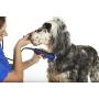 Andis Excel Pro-Animal 5-Speed Detachable Blade Clipper - Professional Animal/Dog Grooming