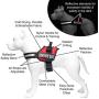 Industrial Puppy Service Dog Vest with Hook and Loop Straps & Matching Service Dog Leash Set - Harnesses from XXS to XXL - Service Dog Harness Features Reflective Patch and Comfortable Mesh Design