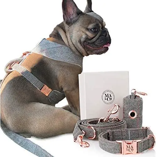 Designer Dog Collar, Harness & Leash Set for Large Dogs + Poop Bag Dispenser - No-pull Dog Harness Set Rose Gold & Reflective piping details - Extra Long Shoulder Leash for walking, jogging & training