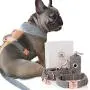 Designer Dog Collar, Harness & Leash Set for Large Dogs + Poop Bag Dispenser - No-pull Dog Harness Set Rose Gold & Reflective piping details - Extra Long Shoulder Leash for walking, jogging & training