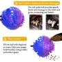 FULNEW Upgrade Suction Cup Dog Toy Dog Rope Chew Toys Pet Molar Bite Toy Interactive Pet Treat Ball Dog Teeth Cleaning Toys FULNEW Upgrade Suction Cup Dog Toy Dog Rope Chew Toys Pet Molar Bite Toy Interactive Pet Treat Ball Dog Teeth Cleaning Toys