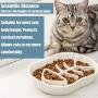Ceramic Slow Feeder Cat Dog Bowls - Unique Fishbone Fun Interactive Design Feeder Bowl,Preventing Pet Feeder Anti Gulping Healthy Eating Diet Pet Bowls Against Bloat,Indigestion and Obesity (White)