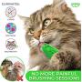 Ronton Cat Toothbrush Catnip Toy - Durable Hard Rubber - Cat Dental Care, Cat Interactive Toothbrush Chew Toy