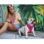 Classic Dog Harness Innovative Mesh No Pull No Choke Design Soft Double Padded Breathable Vest for Eco-Friendly Easy Control Walking Quick Release for Puppies Toy Breeds & Extra-Small Dogs
