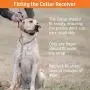 SportDOG Brand NoBark Rechargeable Bark Control Collar - Programmable, Waterproof Bark Collar SportDOG Brand NoBark Rechargeable Bark Control Collar - Programmable, Waterproof Bark Collar