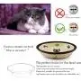Cute Pet Bowl Oval Ceramic Cat Bowl Cat Feeding Bowls for Persian Cat and Exotic Shorthair Cat