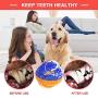 WLHOPE Dog Chew Toy Suction Cup Dog Toy, Rope with Resistance to Strong Bites Strong Training Effect for Small Medium Dogs (Blue Orange)