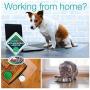 P-Tex Anti-Microbial Pet Mat 19'' x 24'' Multi Pack of 2 for Floor and Surface Protection