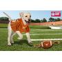 Pets First NCAA Texas Longhorns Football Dog Toy, Tough Quality Nylon Materials, Strong Pull Ropes, Inner Squeaker, Collegiate Team Color