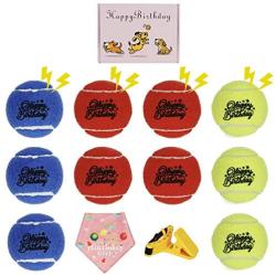 PIKASEN Deluxe Dog Gift Box with 4 Squeak Tennis Balls and 6 Non-Squeak Dog Tennis Ball - 1 Dog Selfie Clip and 1 Dog Birthday Bandana