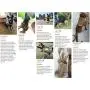 RubRab Tactical Dog Harness and Bungee Dog Leash Set for Large Medium Dogs MOLLE Vest for Service Training Military Dogs Adjustable Tactical Vest RubRab Tactical Dog Harness and Bungee Dog Leash Set for Large Medium Dogs MOLLE Vest for Service Training Military Dogs Adjustable Tactical Vest