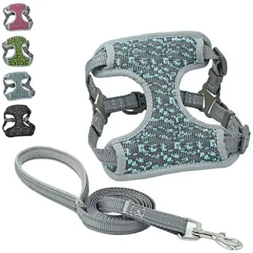 risdoada No Pull Dog Harness with Leash, Soft Breathable Mesh Puppy Chest Harness, Step-in Pet Vest Harness for Small Medium Large Dogs