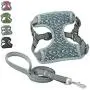 risdoada No Pull Dog Harness with Leash, Soft Breathable Mesh Puppy Chest Harness, Step-in Pet Vest Harness for Small Medium Large Dogs