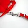 Budd Pet Dog Leash Adjustable Harness Puppy Leads and Collars Set for Small Doggie Kitten Vest Strap Budd Pet Dog Leash Adjustable Harness Puppy Leads and Collars Set for Small Doggie Kitten Vest Strap