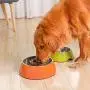 Manda Ocean Pet Bowls Stainless Steel Dog Cat Pet Bowl Universal Pet Water and Food Bowls 4 Sizes and 5 Colors Available Manda Ocean Pet Bowls Stainless Steel Dog Cat Pet Bowl Universal Pet Water and Food Bowls 4 Sizes and 5 Colors Available