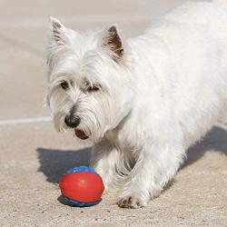 Hero Outer Armor, Durable Ball Dog Toy, Floats & Squeaks