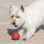Hero Outer Armor, Durable Ball Dog Toy, Floats & Squeaks