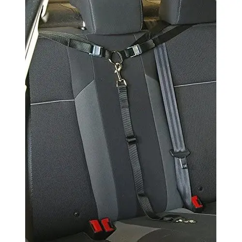 Paws n Claws Tangle Free Dog Tether for Vehicle - Attaches Around headrest or Baby car seat Brackets - Adjustable Restraint K9 Lead Sedan Backseat Leash Paws n Claws Tangle Free Dog Tether for Vehicle - Attaches Around headrest or Baby car seat Brackets - Adjustable Restraint K9 Lead Sedan Backseat Leash