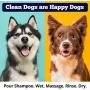 American Pet Supplies Doctor Theos Natural Pet Care for Dogs and Puppies