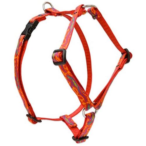 LupinePet Originals 1/2'' Go Go Gecko 12-20'' Adjustable Roman Dog Harness for Small Dogs