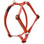LupinePet Originals 1/2'' Go Go Gecko 12-20'' Adjustable Roman Dog Harness for Small Dogs