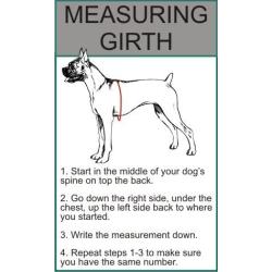 Nervous Service Dog mesh Vest Harness Cool Comfort Nylon for Dogs Small Medium Large Purchase Comes with 2 Reflective Nervous Removable Patches. Please Measure Your Dog Before Ordering