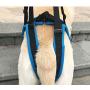 RC GearPro Dog Lift Harness for Back Legs, Pet Support Sling Help Weak Legs Stand Up Injured Disabled Arthritis ACL Joint Pain Elderly