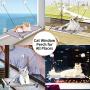 pueikai Cat Hammock, Cat Window Perch for Indoor Large Cats, Cat Resting Seat Hammock Shelves, Sturdy Heavy-Duty Knob Suction Cups Holds Up to Weighted up to 50 lbs, Space-Saving & Easy to Assemble