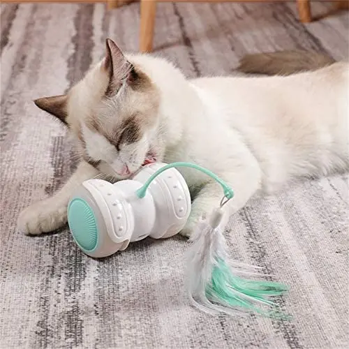redcolourful Quality Pet Supplies, Pet Electric Smart Balance Led Luminous Remote Control Car Funny Cat Toy with Feather Green Ideal Pet Product redcolourful Quality Pet Supplies, Pet Electric Smart Balance Led Luminous Remote Control Car Funny Cat Toy with Feather Green Ideal Pet Product