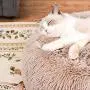 EDUJIN Fluffy Donut Cuddler Pet Bed, Cat and Dog Calming Indoor Cushion Bed with Non-Slip Bottom for Improved Sleep, Machine Washable Long Plush Soft Round Sofa Bed - 20/24 Inch for Puppy and Kitties EDUJIN Fluffy Donut Cuddler Pet Bed, Cat and Dog Calming Indoor Cushion Bed with Non-Slip Bottom for Improved Sleep, Machine Washable Long Plush Soft Round Sofa Bed - 20/24 Inch for Puppy and Kitties